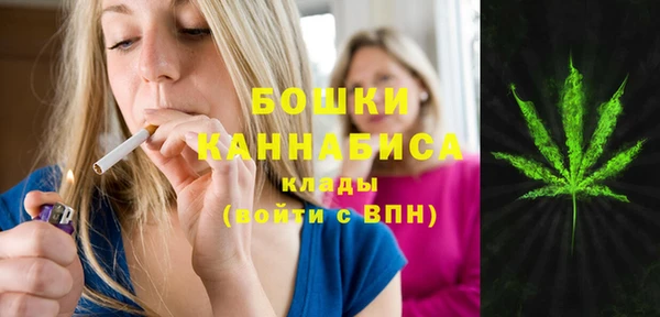 кокс Дмитров