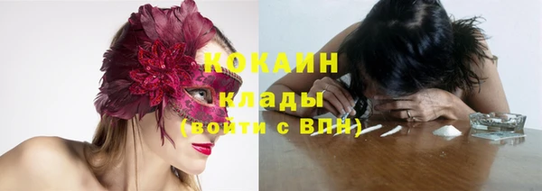 прущие крисы Гусев
