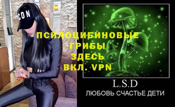 прущие крисы Гусев