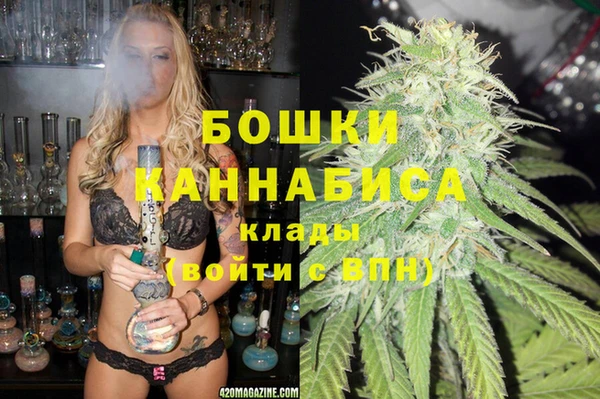 прущие крисы Гусев