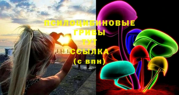 хмурый Дмитровск
