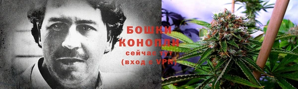 прущая мука Дмитриев