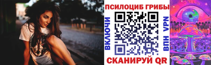 Псилоцибиновые грибы Psilocybine cubensis  Тавда 